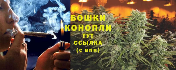 ГАЛЛЮЦИНОГЕННЫЕ ГРИБЫ Аркадак