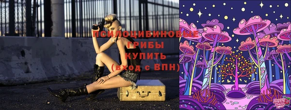 ГАЛЛЮЦИНОГЕННЫЕ ГРИБЫ Аркадак