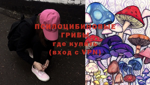 ГАЛЛЮЦИНОГЕННЫЕ ГРИБЫ Аркадак
