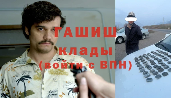 ПСИЛОЦИБИНОВЫЕ ГРИБЫ Арсеньев
